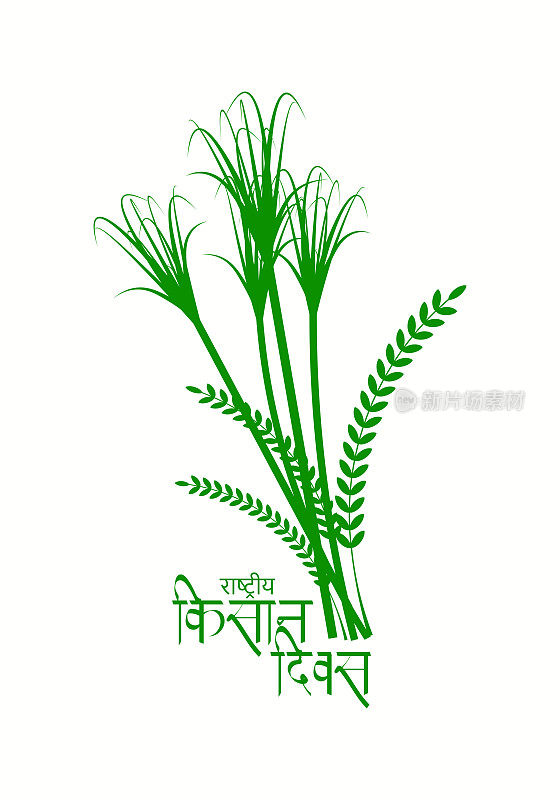 印度农民日。 拉什特里亚·基桑·迪瓦斯